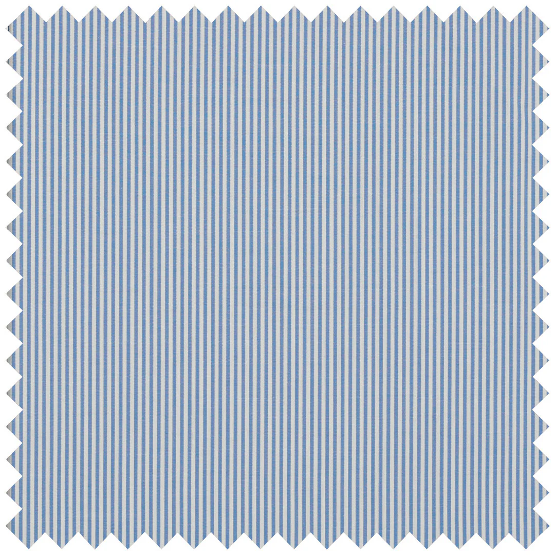 Loro Piana Blue Bengal Stripe