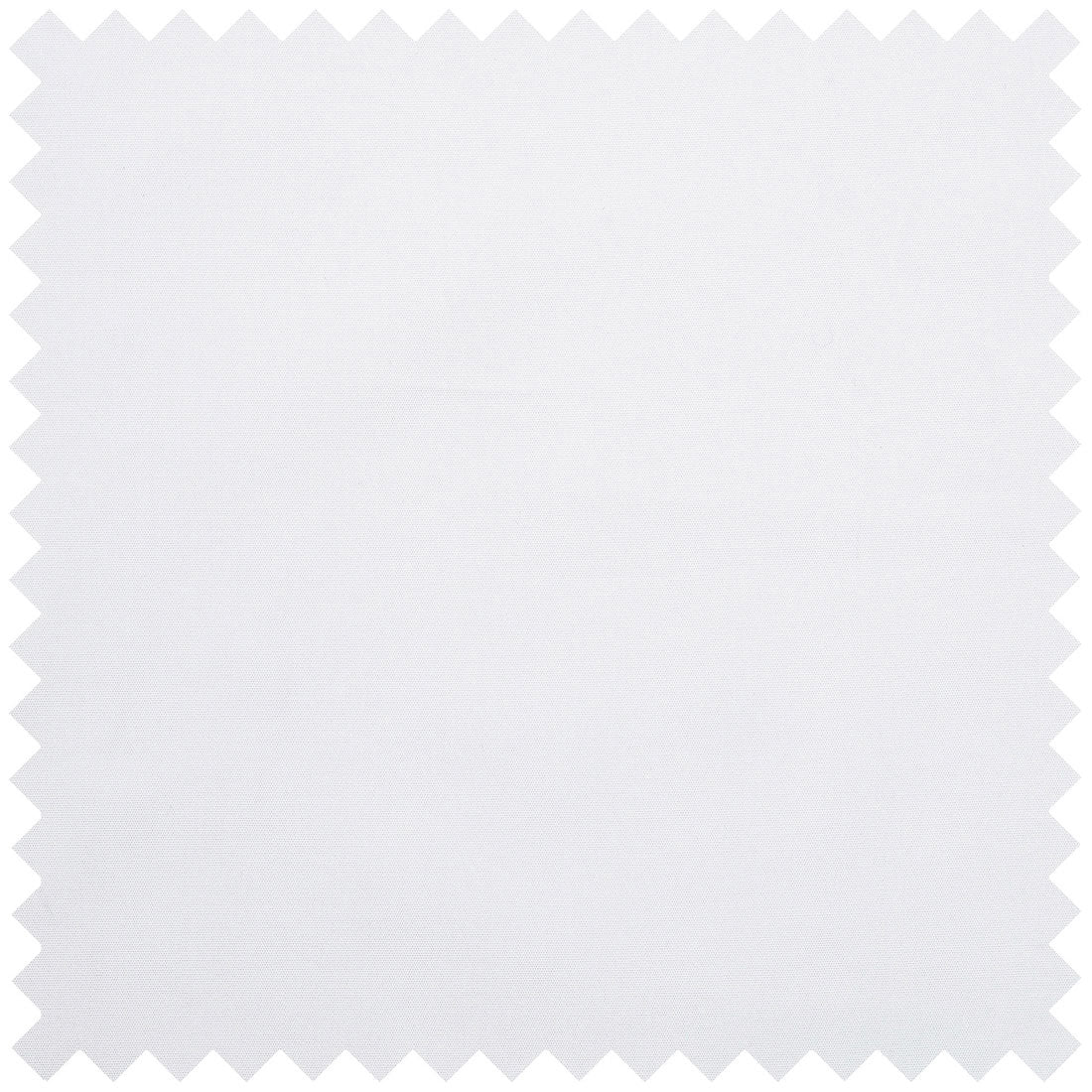 Plain House Poplin in White
