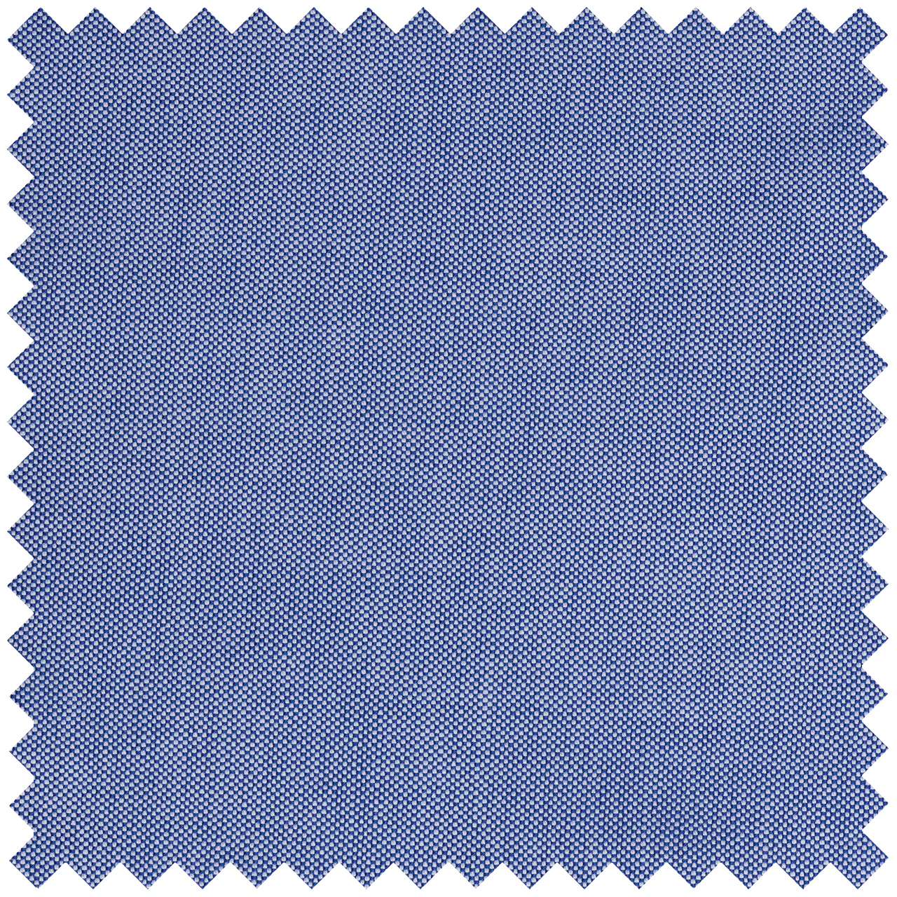 Plain Oxford in Navy