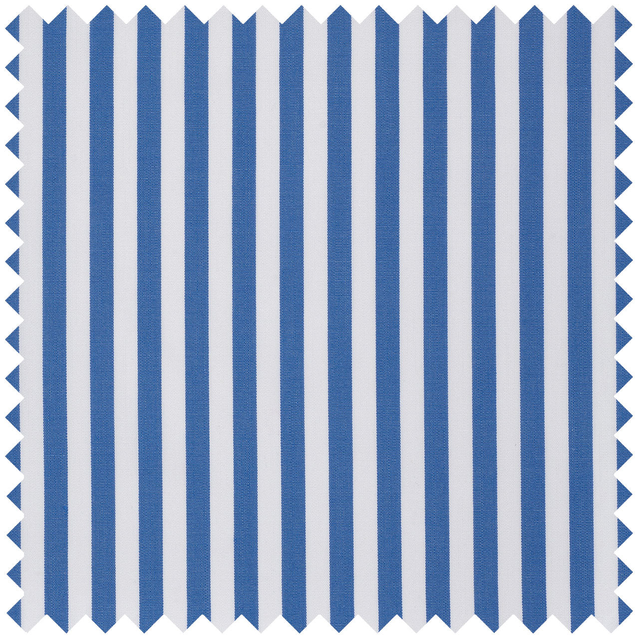 Wide Stripe Superpoplin in Royal Blue